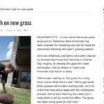 Journal Record Article Stimulates Demand for Tahoma 31 Bermudagrass
