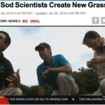 OSU Sod Scientists Create New Grass