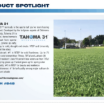 Tahoma 31 Must-See at STMA 2020