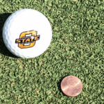 Close up grass with golf ball