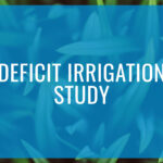 Deficit Irrigation Study