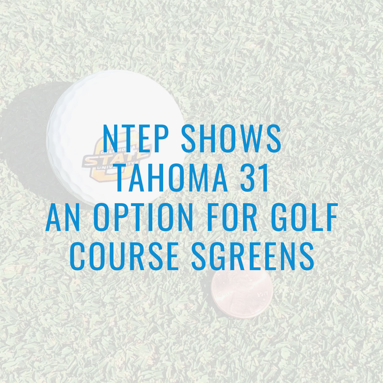 NTEP Shows Tahoma 31 an Option for Golf Course Greens Tahoma 31