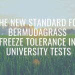 Bermudagrass Freeze Tolerance