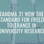 Tahoma 31 Now the Standard for Freeze Tolerance in University Research