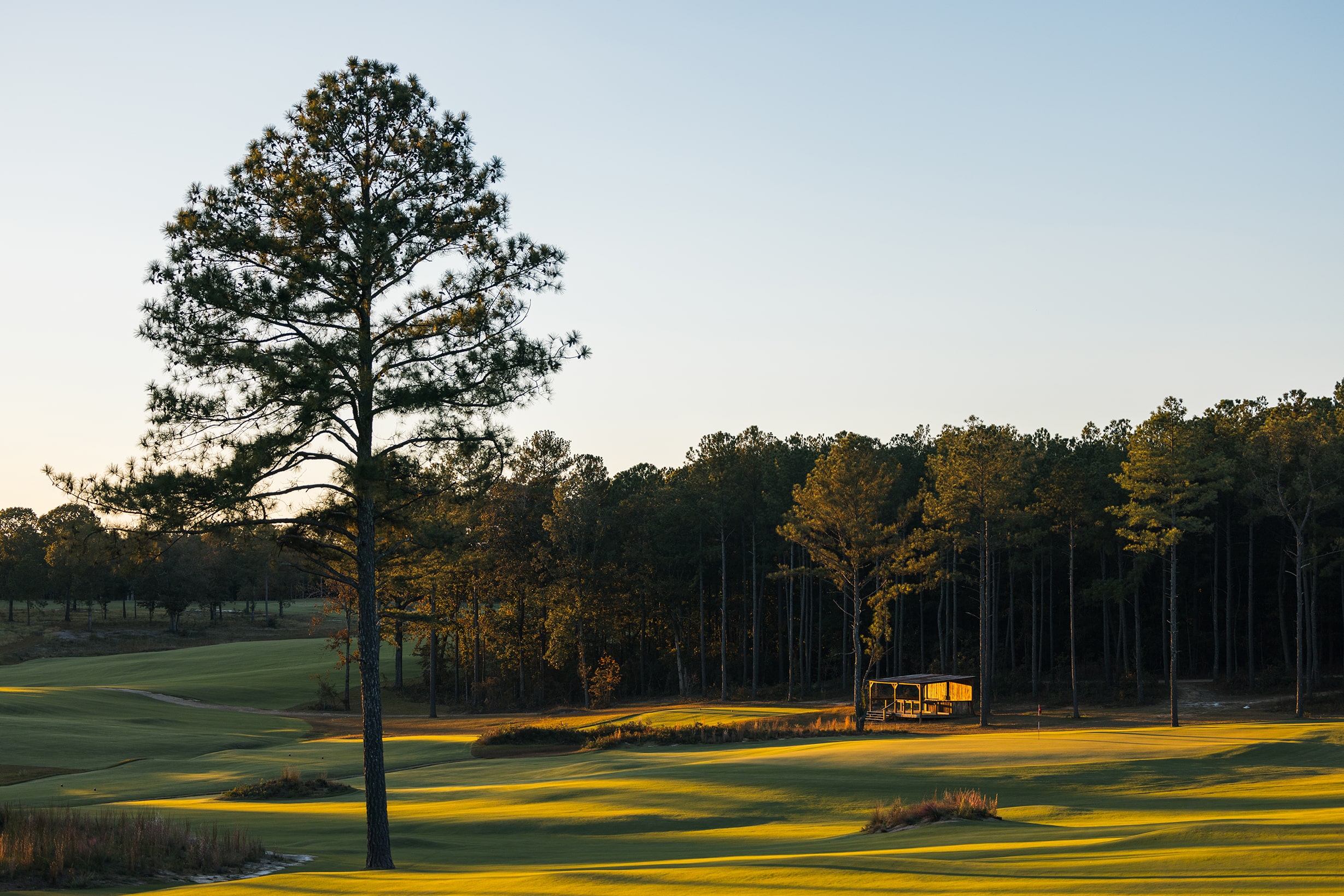 Tahoma 31 Projects Golf Courses, Sports Fields & Home Lawns