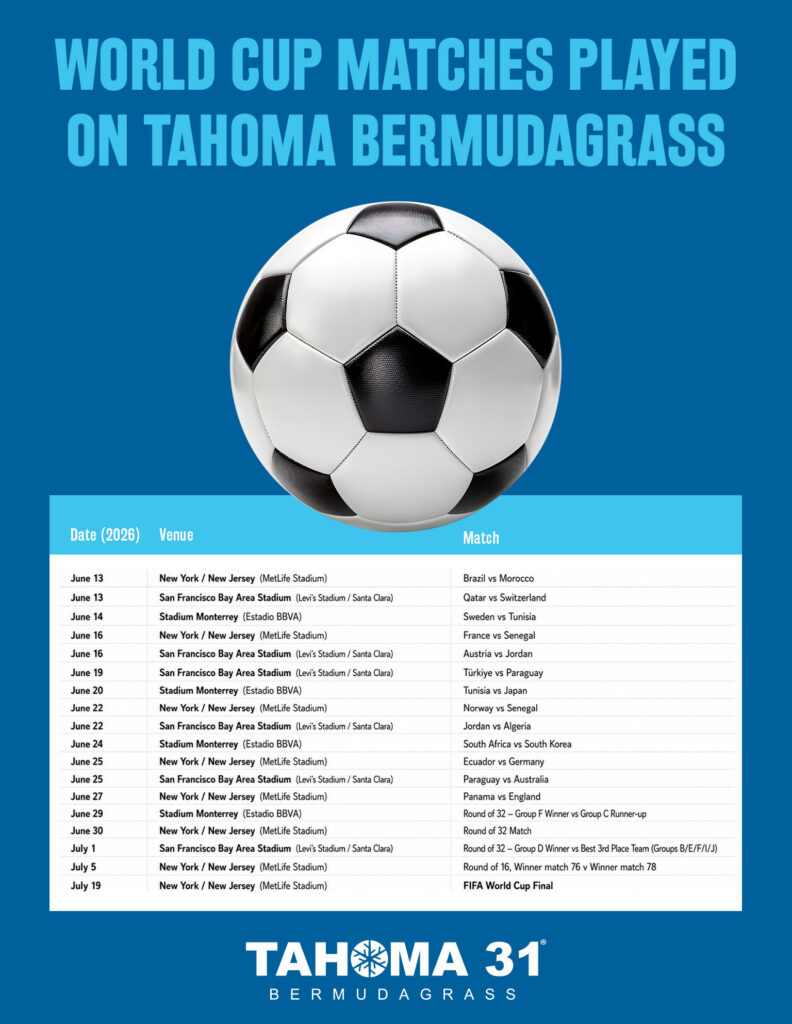 Schedule of World Cup Matches Played on Tahoma 31