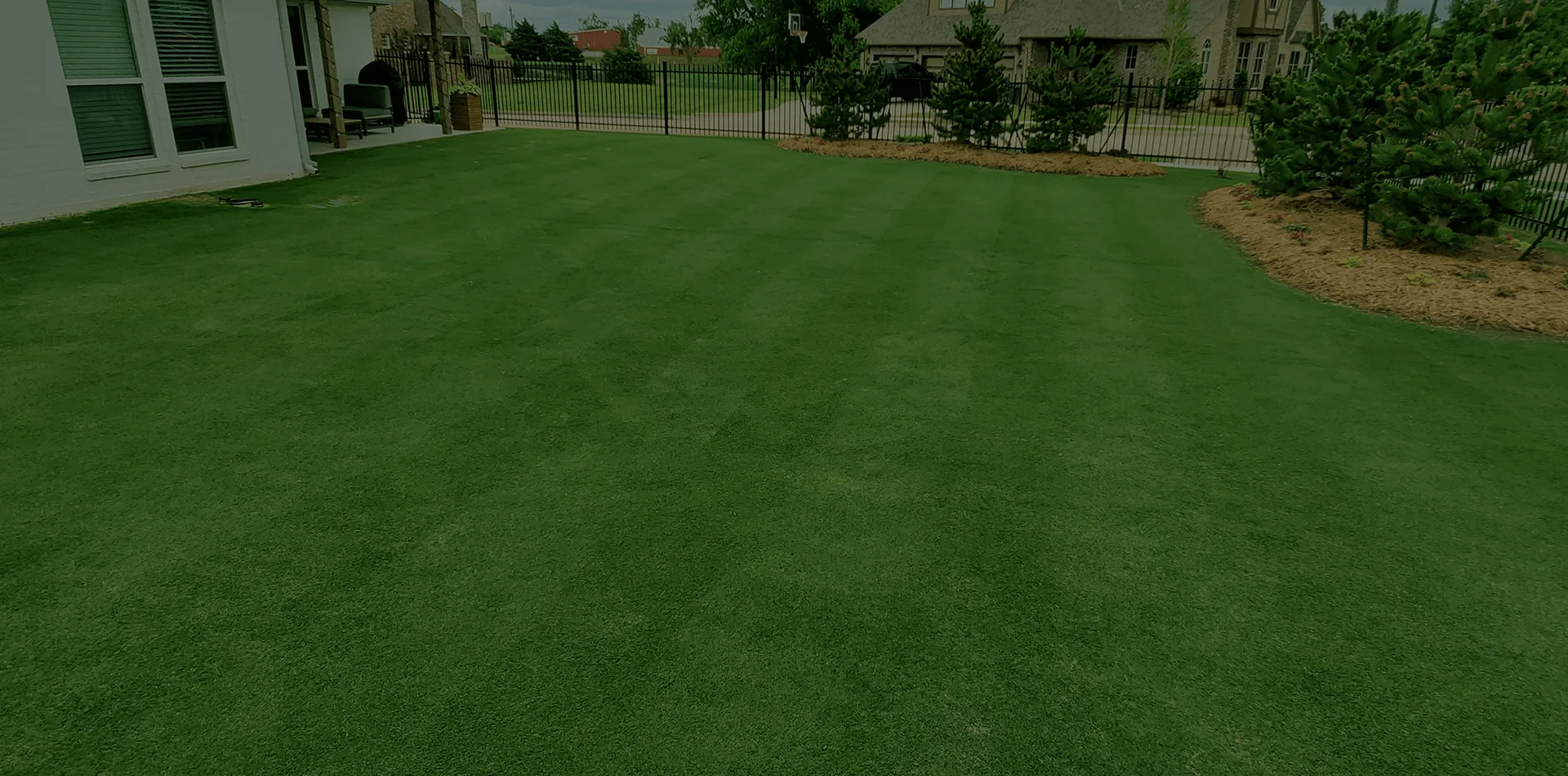 World’s Most Cold-Tolerant Bermudagrass